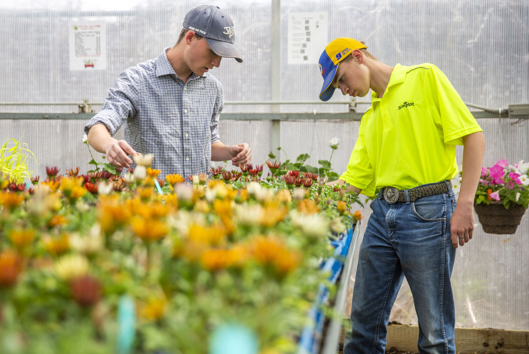 Filer FFA plant sales